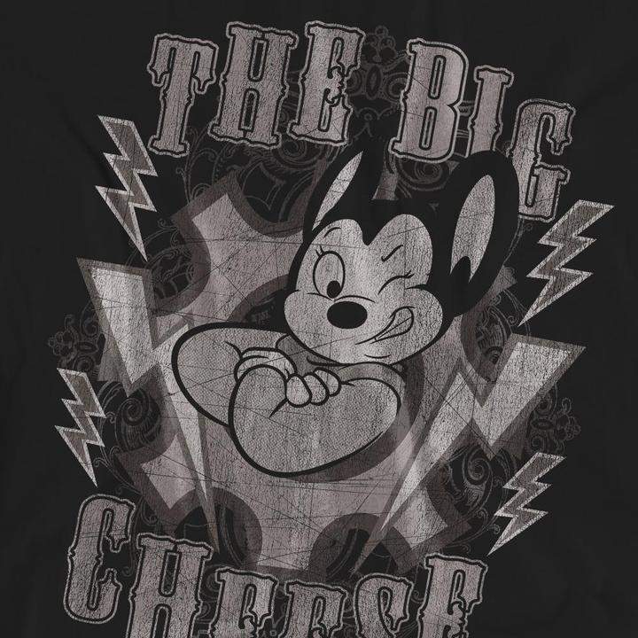 Actual product image Fruit of the Loom Unisex Adult The Big Cheese T-Shirt (L)