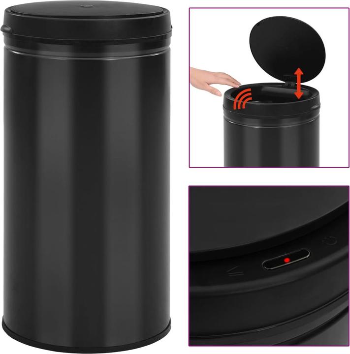 Actual product image VidaXL Iser (60 l)