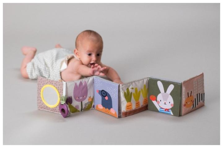 Actual product image Taf Toys Urban Garden (German)