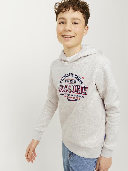 Produktbild Jack & Jones JJELOGO SWEAT HOOD 2 COL 24/25 NOOS JNR (164)