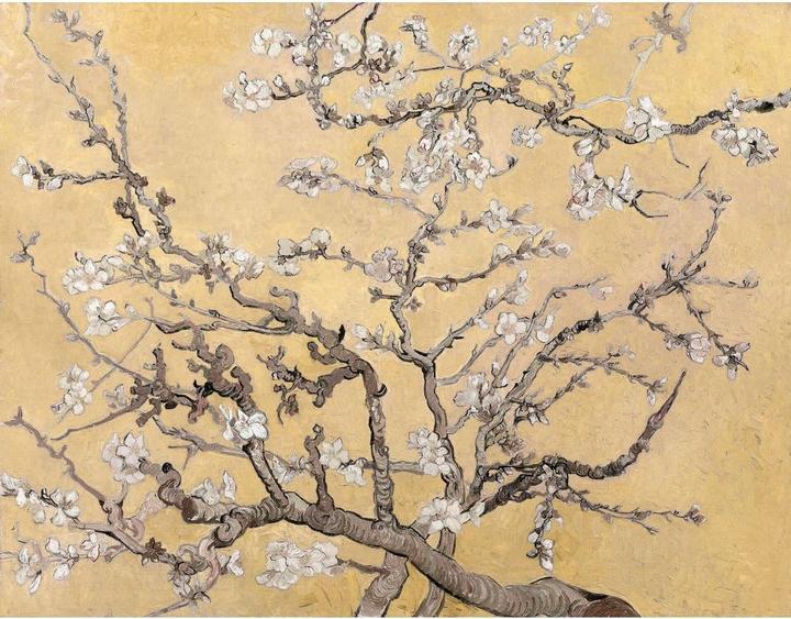 Produktbild Trenddeko van Gogh - Mandelblüte (144 x 260 cm)