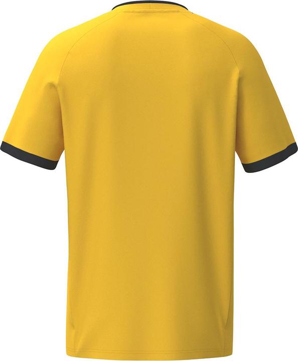 Actual product image Erima LIBERO 125 Jersey (XXL)