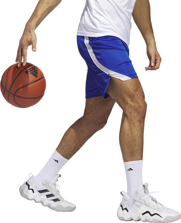 Actual product image adidas Icon Squad Shorts (M)