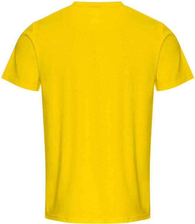 Actual product image Pro RTX Mens Pro T-Shirt (3XL)