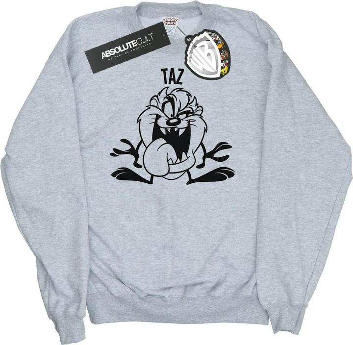 Produktbild Looney Tunes Taz Large Head Sweatshirt (M)