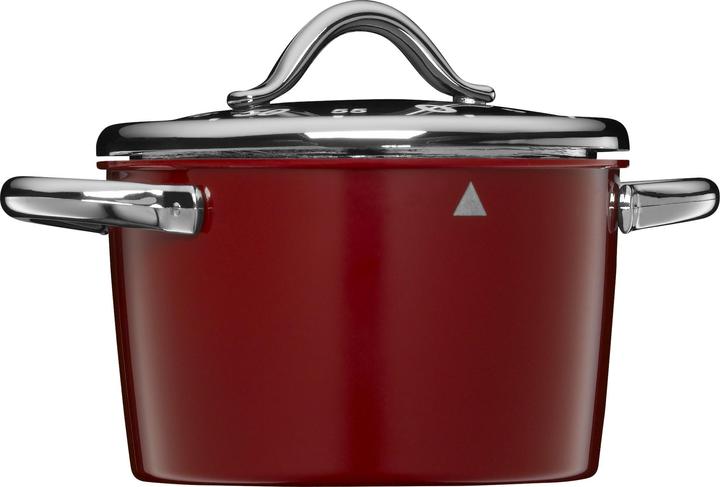Image du produit Silit Vitaliano Rosso, animateur de courte durée