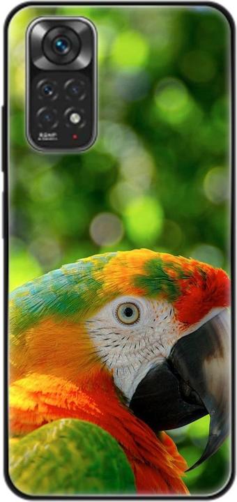 Parrot