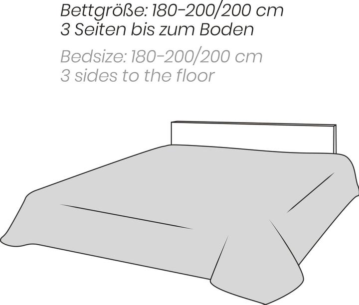 Immagine prodotto Erwin Müller Copriletto (270 x 250 cm)