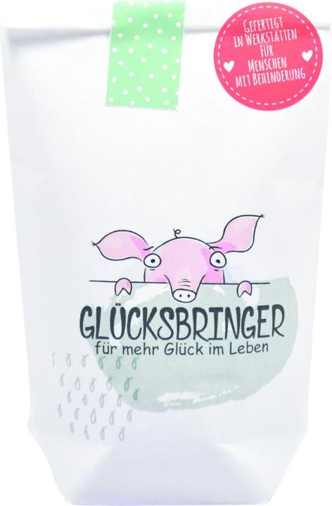 Actual product image Wunderle Lucky Charm Mini Wonder Bag 9x11 cm (Gift bag, 1 x)