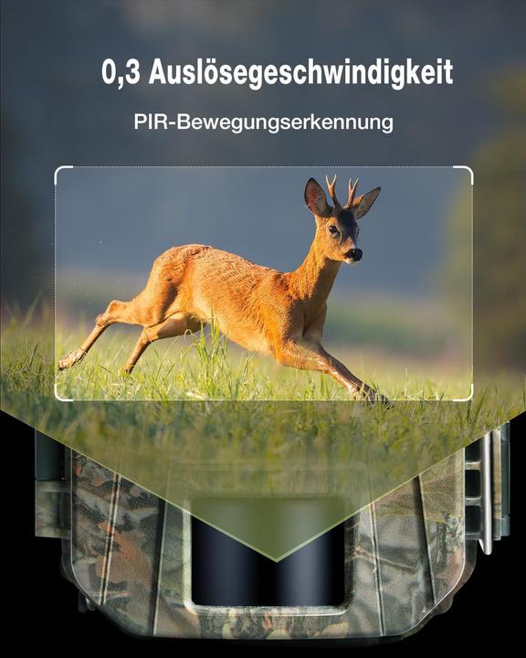 Immagine prodotto Wolfang Wildkamera