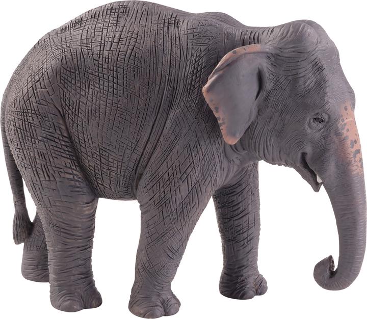 Actual product image Animal Planet Asian elephant
