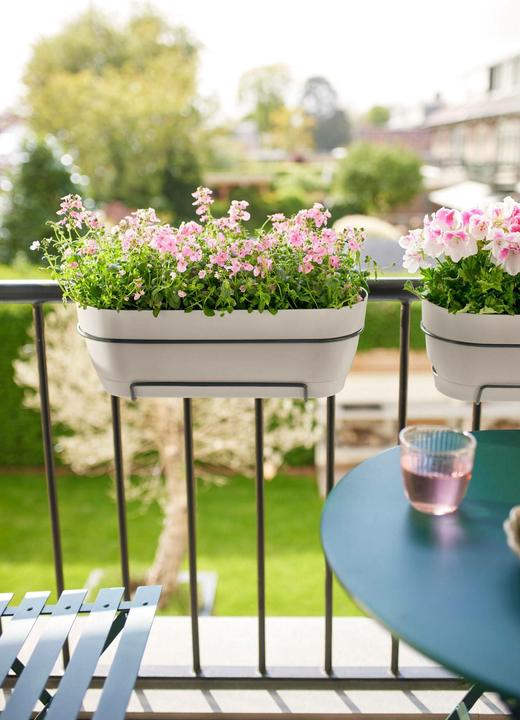 Produktbild Elho Vibia Campana Balkonkasten Allin1 (26 cm)