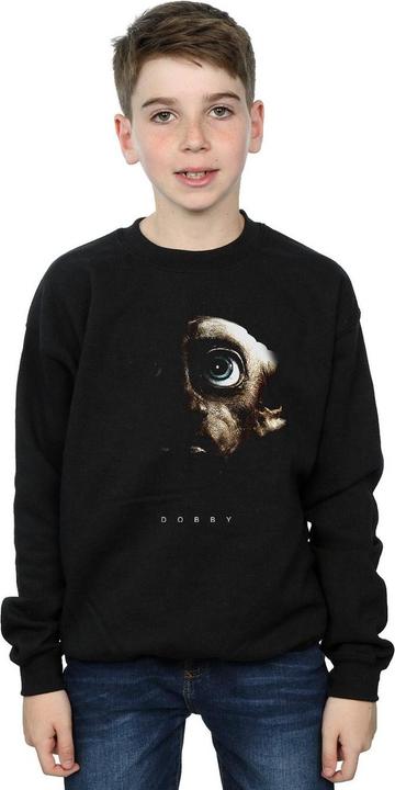 Immagine prodotto Dobby Portrait Felpa Ragazzi (152, 158)