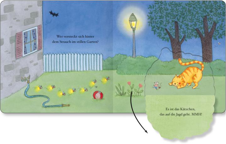 Image du produit La nuit en silence - Un livre d'images cartonné avec de nombreux rabats (Allemand)