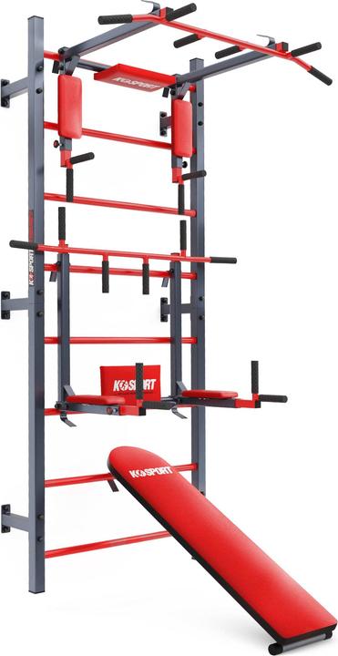 K-Sport Dip Station
