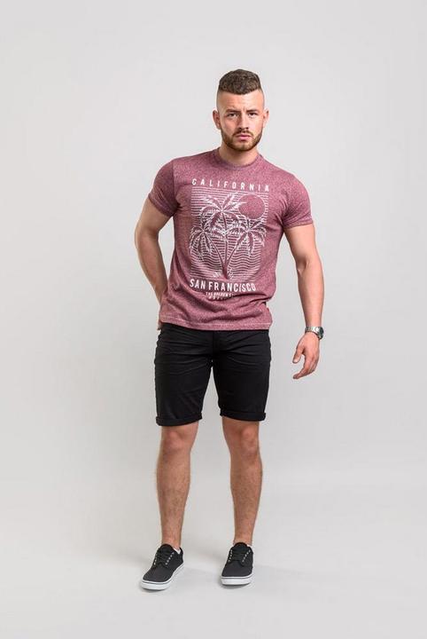 Produktbild DUKE TShirt Oscar mit SanFranciscoPrint Übergrössen (S, 4XL)