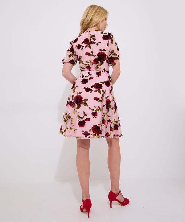 Produktbild Joe Browns Vintage Inspired Devore Rose Mini Dress (8)