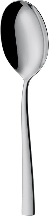 WMF Philadelphia (Serving spoon)