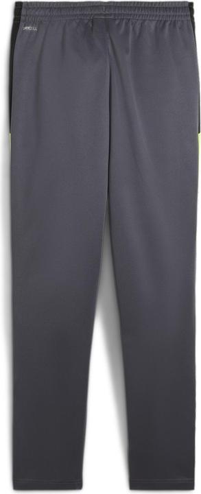 Actual product image Puma IndividualLIGA Training Pants Jr (140)