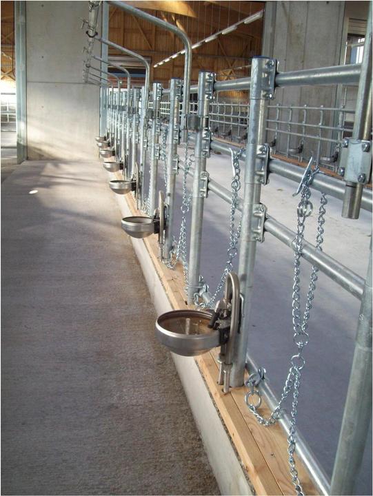 Produktbild Suevia Tränkebecken Mod. 1200 mit Edelstahl-Ventil