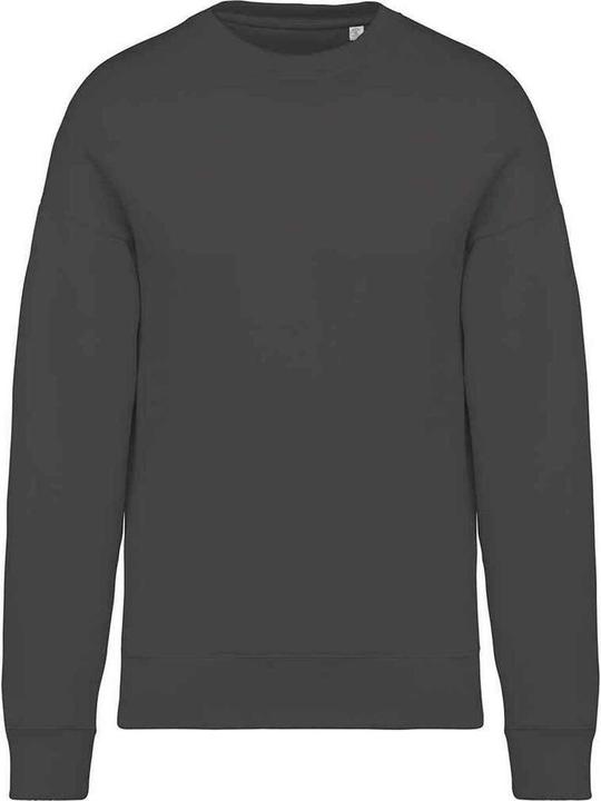 Actual product image Native Spirit Sweatshirt Oversized (XS)