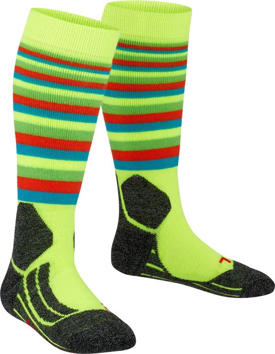 Actual product image Falke SK2 Stripes Kids (35 - 38)