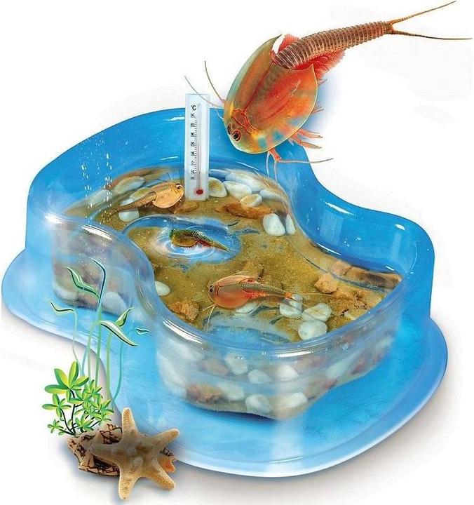 Immagine prodotto Galileo Starter Set Triops originale