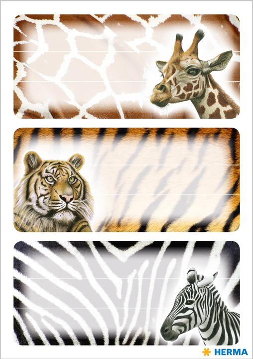 Actual product image HERMA Book labels