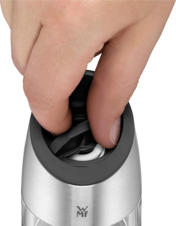 Actual product image WMF 6734 (Salt, Pepper, Chili)
