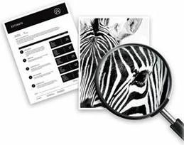 Actual product image HP 364 (M)