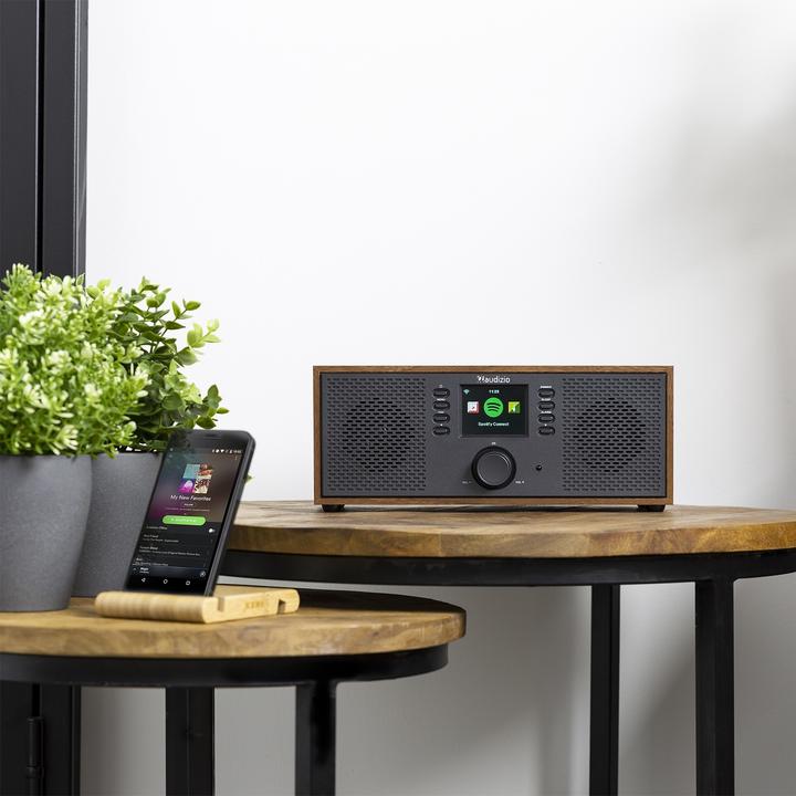 Immagine prodotto Audizio Internet Radio Rimini aspetto legno (Web radio, Bluetooth)