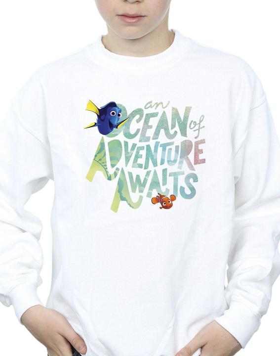 Image du produit Disney - Sweat FINDING DORY OCEAN OF ADVENTURE - Garçon (152, 158)