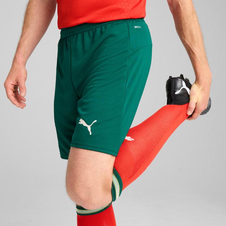 Actual product image Puma FPF Shorts Replica (XL)