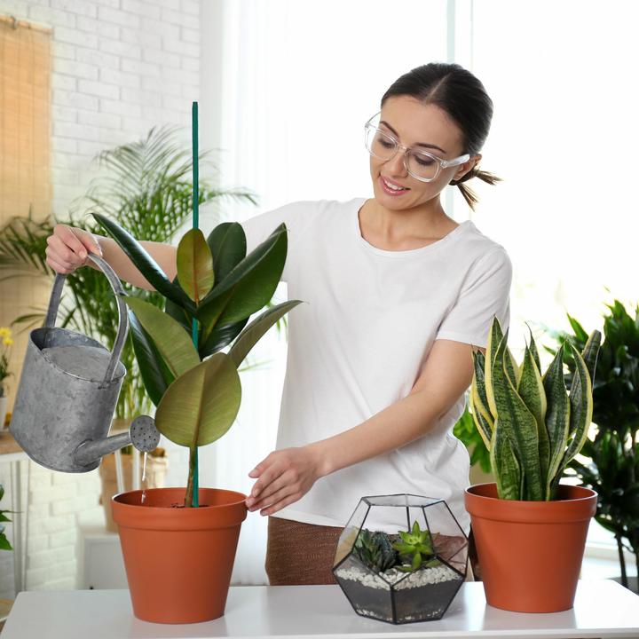 Actual product image Relaxdays 6x vacuum bags