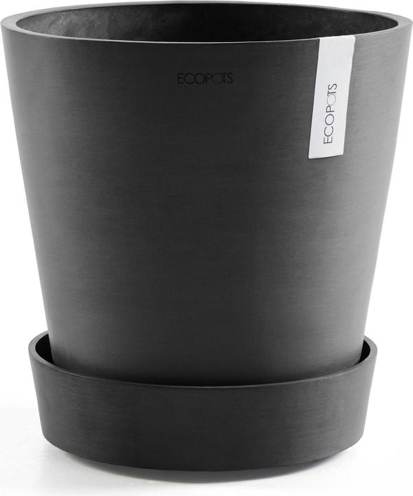 Actual product image Ecopots Saucer on Wheels