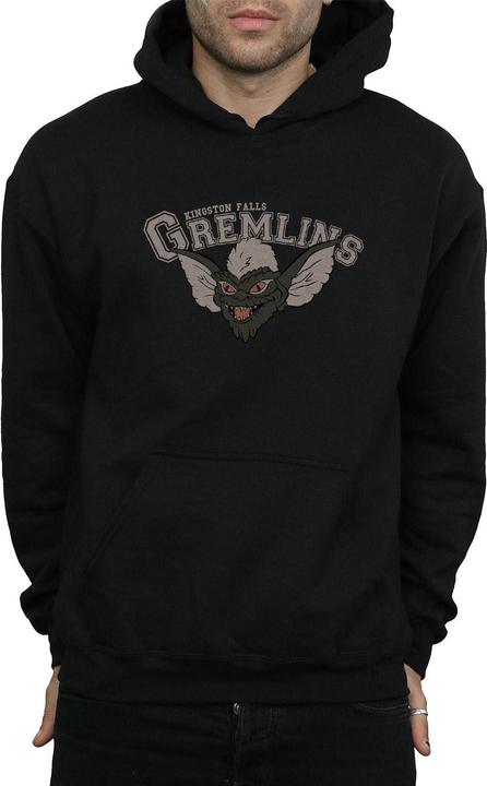 Image du produit Universal Textiles - Sweat à capuche KINGSTON FALLS SPORT - Homme (S)