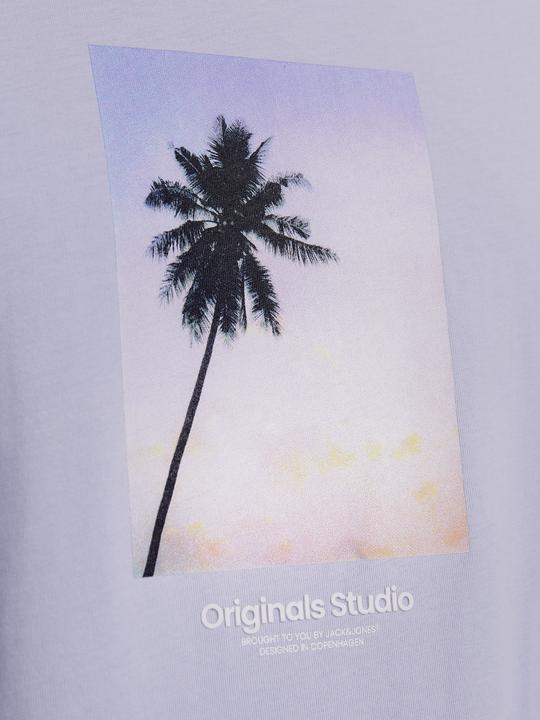 Actual product image Jack & Jones Jorvesterbro Picture Tee Ss Crew Neck Sn (XL)
