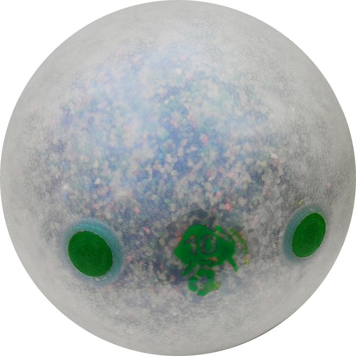 Image du produit Trial Slam Ball Recycle (10 kg, 310 mm)