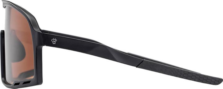 Actual product image CHPO Henrik (Black II, Brown Cat. 2)