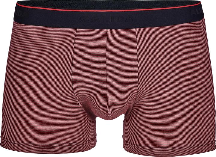 Produktbild Calida Cotton Stretch BoxerBrief (S)