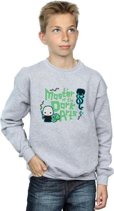 Image du produit - Sweat VOLDEMORT DARK ARTS JUNIOR - Garçon (140, 146)