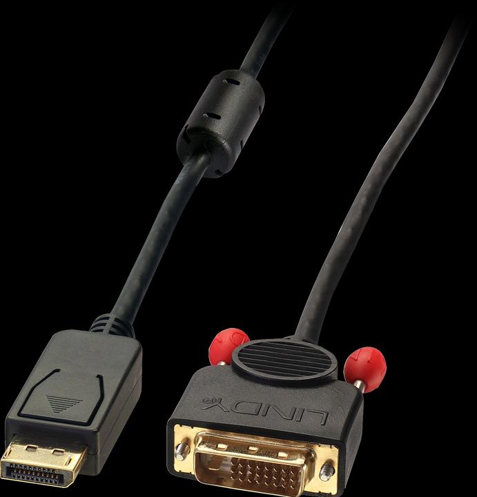 Immagine prodotto Lindy DisplayPort — DVI (0.50 m, DVI, DisplayPort)