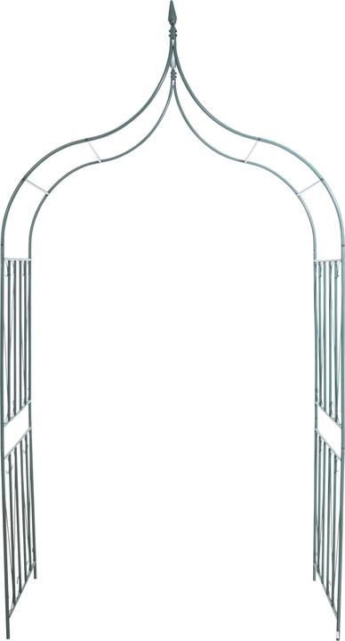 Image du produit CLP Arc de roses de 60, vert (60 cm, 141 cm)