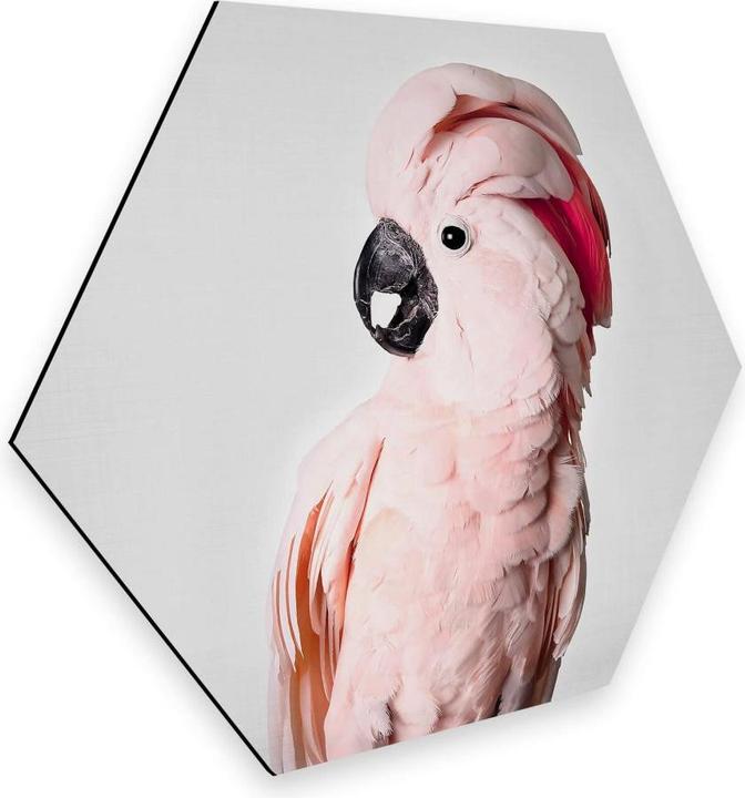 Image du produit Trenddeko Cacatoès rose (75 x 65 cm)