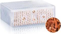 Image du produit Juwel Aquarium Matériau filtrant Phorax for Bioflow 8.0 (Filtres internes, Eau douce, Eau de mer)
