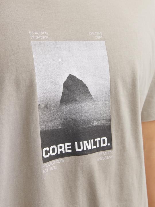 Immagine prodotto Jack & Jones T-shirt stampata con scollo rotondo (L)