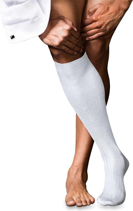 Falke No. 10 KH