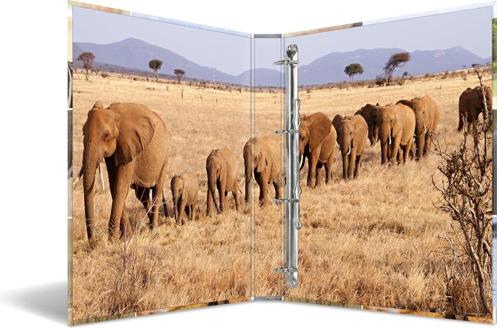 Produktbild Herma Ringbuch A4 Motiv (A4, 35 mm, 1 Stück)