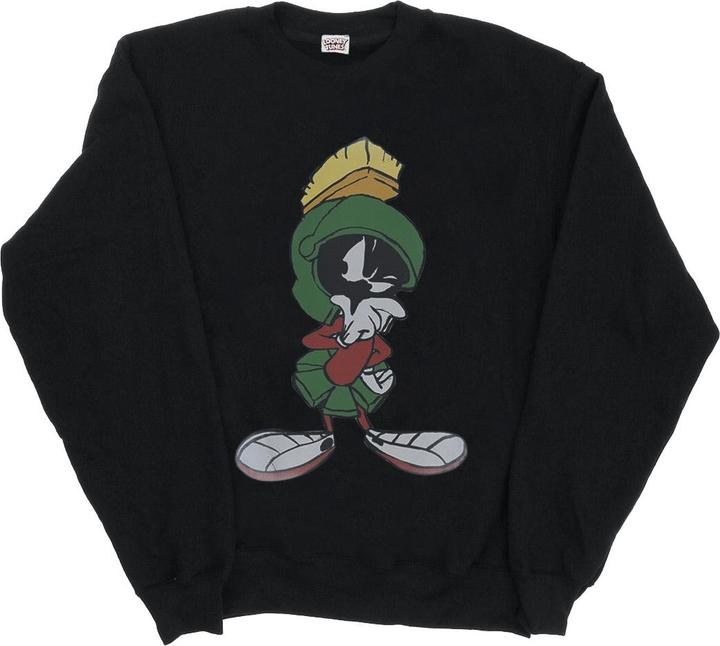 Produktbild Looney Tunes Sweatshirt (L)