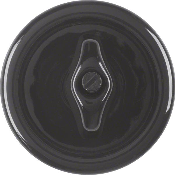Immagine prodotto Berker Piastra centrale
